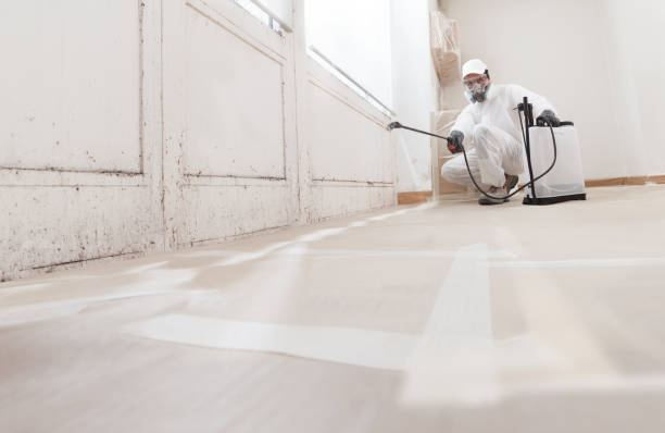 24/7 Emergency Mold Cleanup experts in Rocky Mount, VA