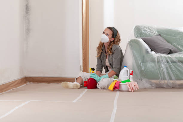 Reliable Mold Cleanup contractor in Rocky Mount, VA by WQB Mold Removal
